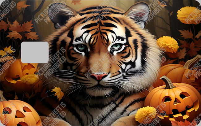 Bank  Card Sticker-BC-327